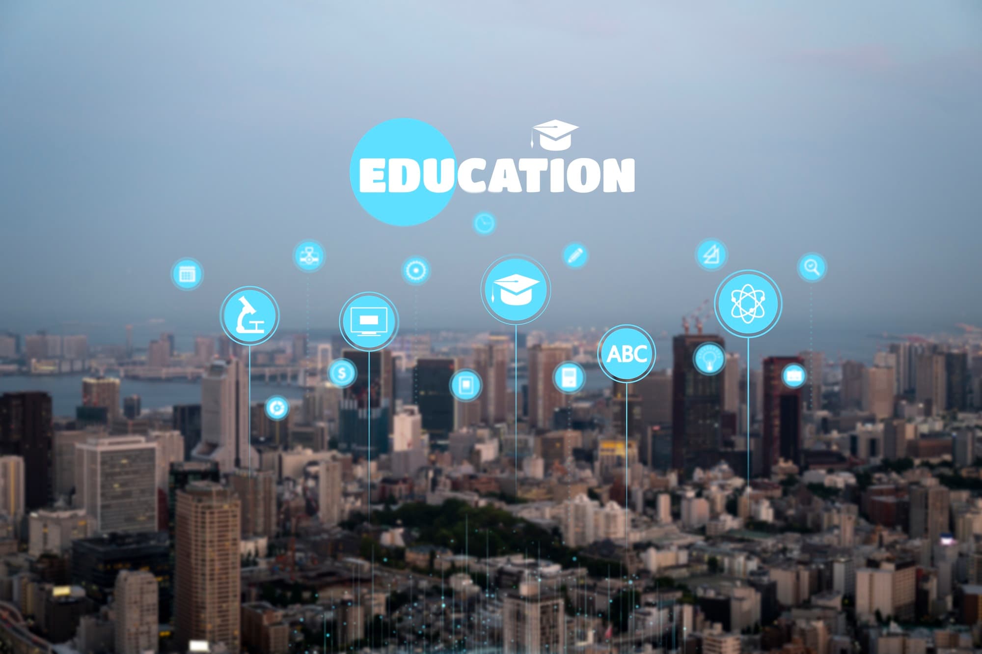 Providing and Implementing Learning Management Systems